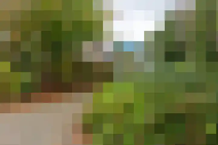 Bergsteinlaan 48 Tuk thumbnail 51
