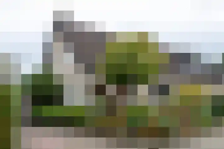 Bergsteinlaan 48 Tuk thumbnail 52