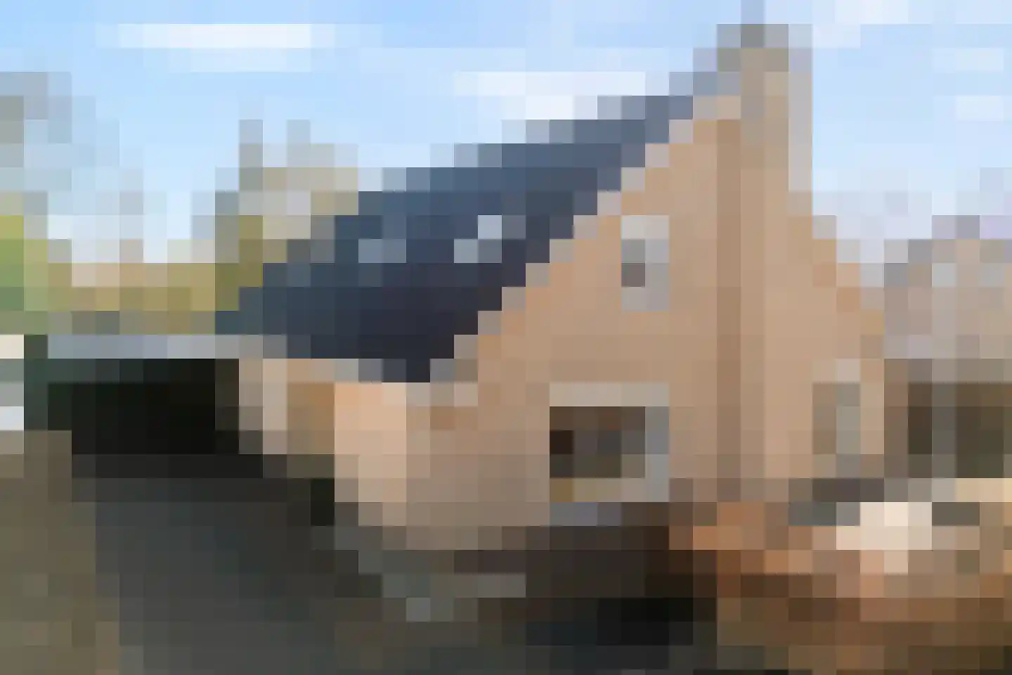 Bergsteinlaan 5 in Tuk