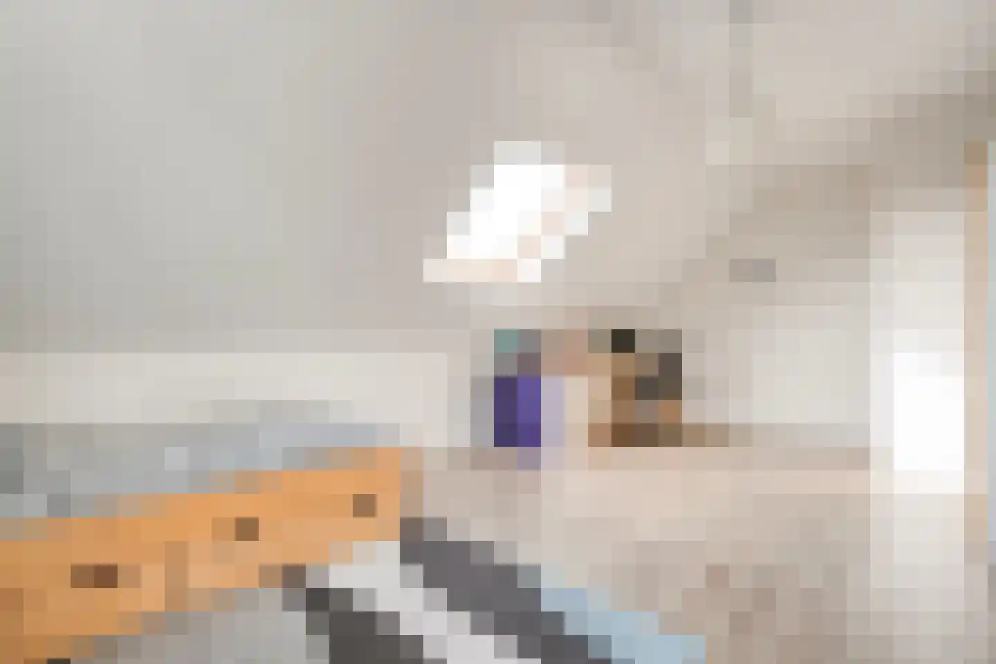 Bergsteinlaan 5 Tuk thumbnail 29