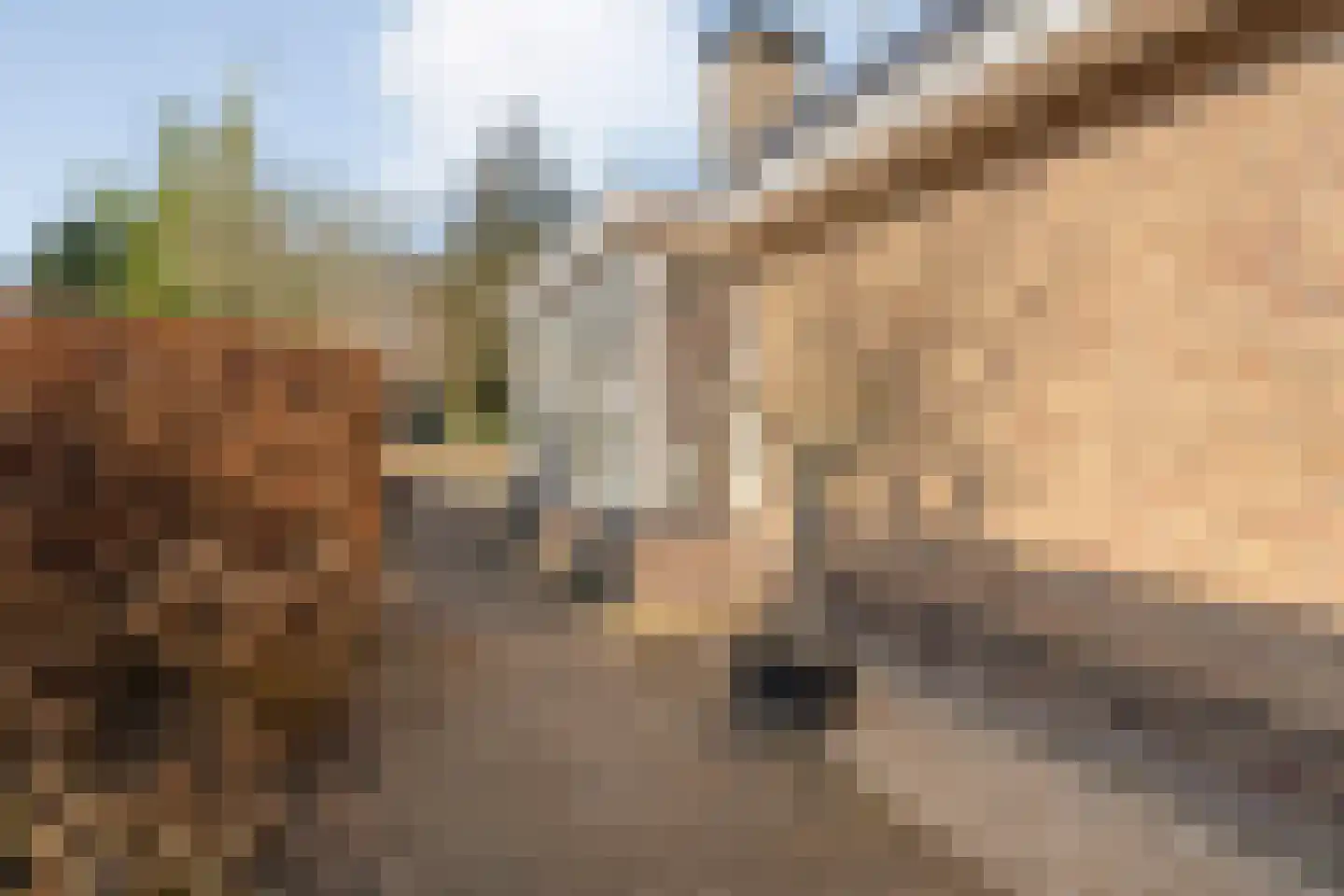 Bergsteinlaan 5 Tuk thumbnail 42