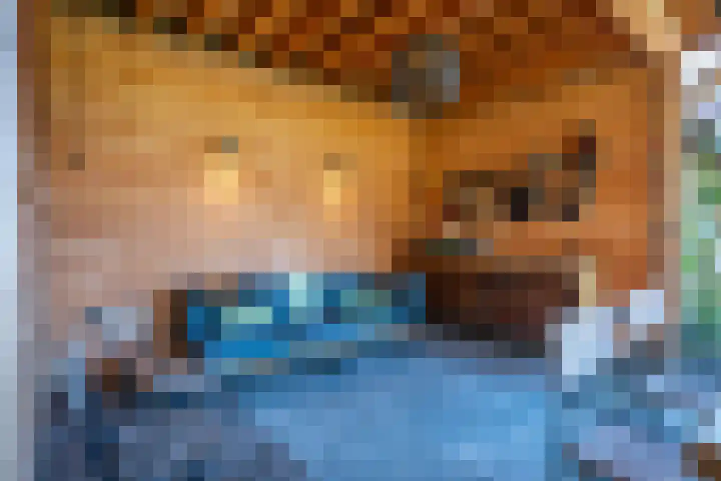 Bergstraat 1 b Urmond thumbnail 36