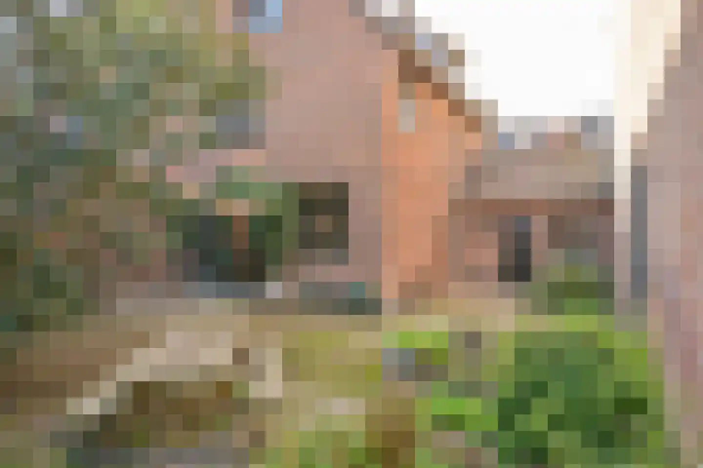 Bergstraat 1 Sittard thumbnail 26