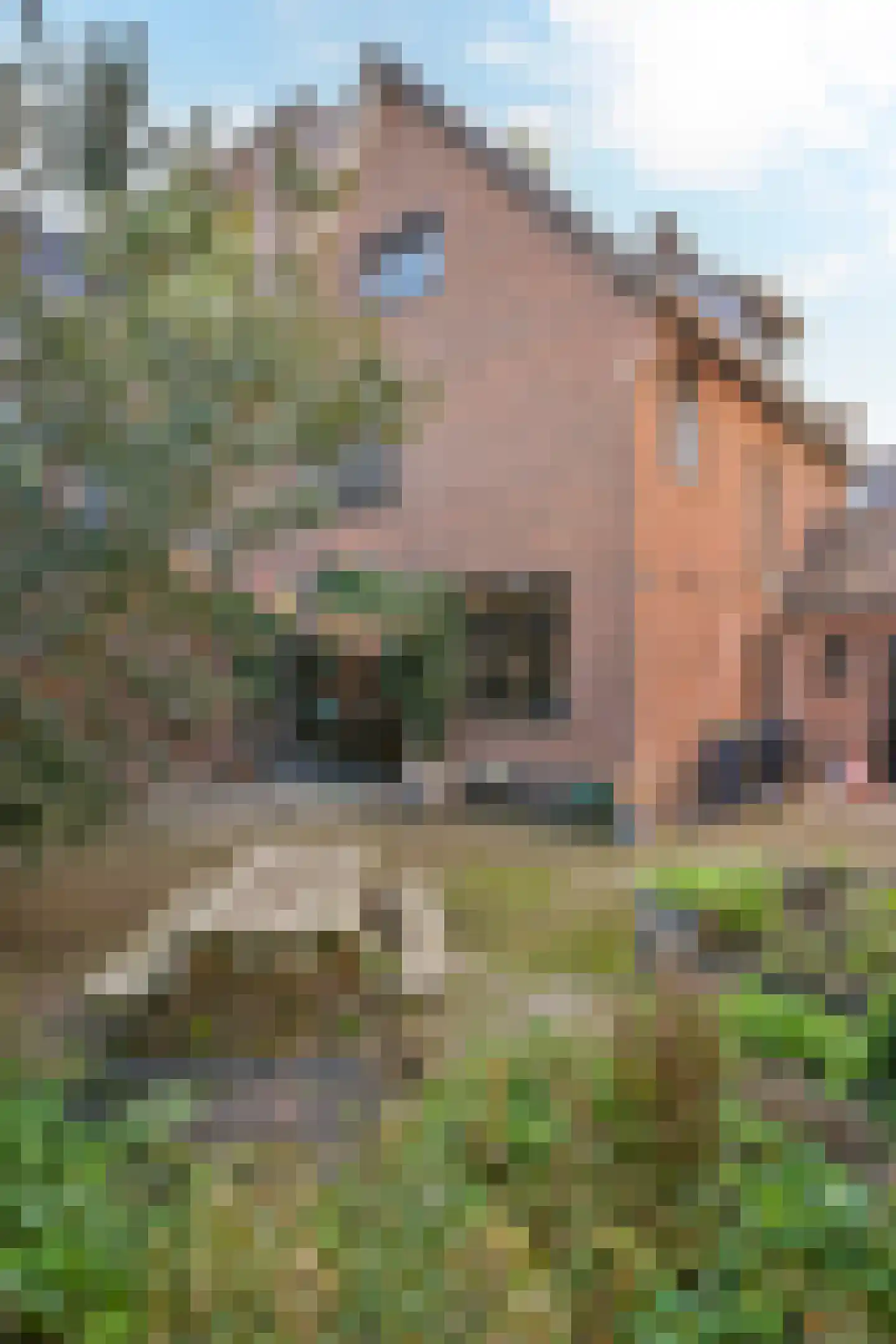 Bergstraat 1 Sittard thumbnail 27
