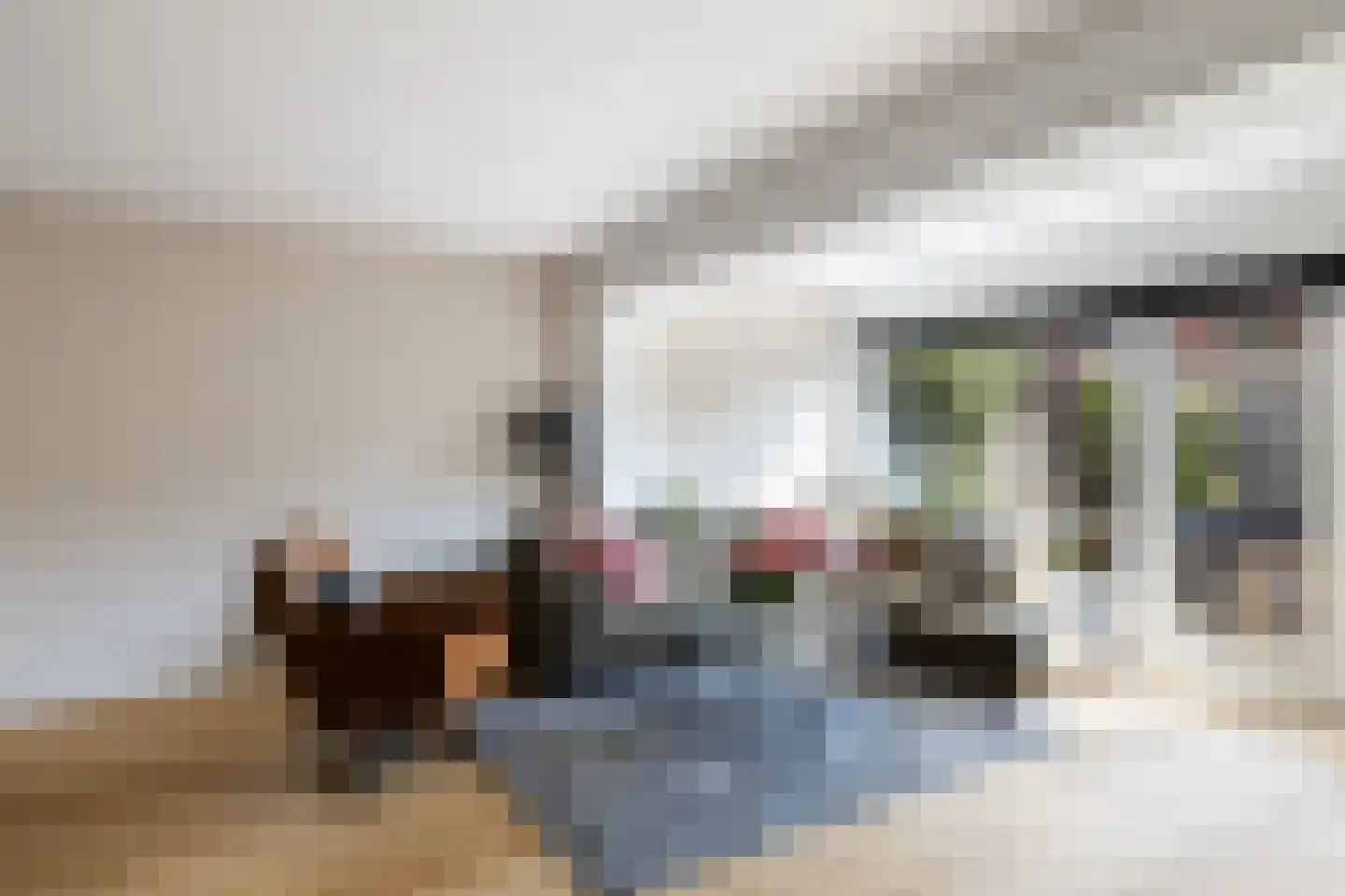 Bergstraat 10 Woerden thumbnail 8