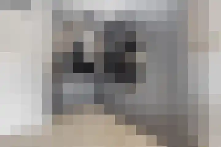 Bergstraat 11 B Eindhoven thumbnail 12