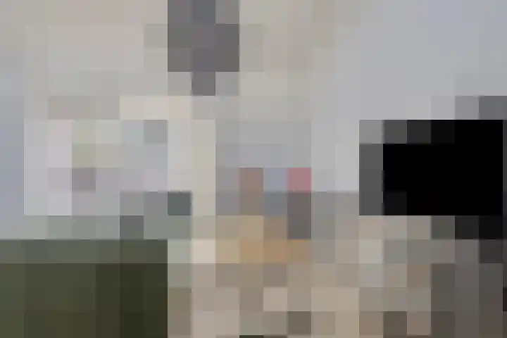 Bergstraat 11 B Eindhoven thumbnail 9