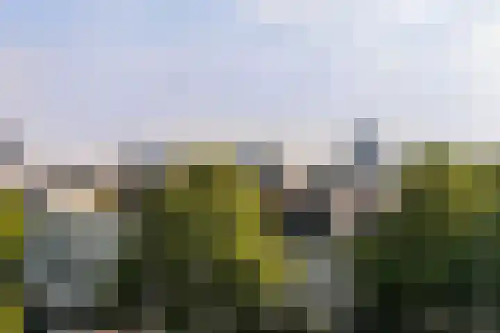 Bergstraat 111 Arnhem thumbnail 31