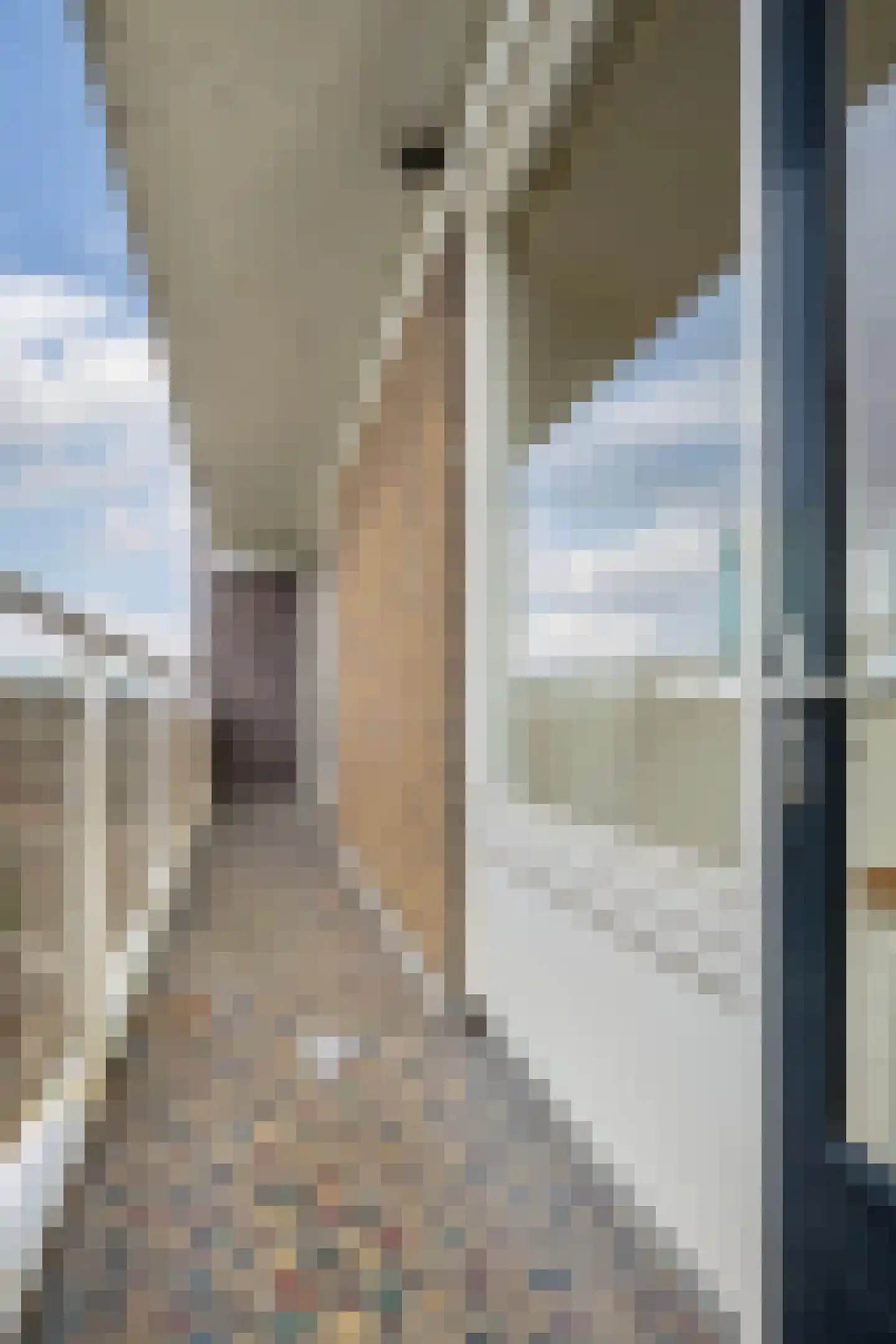Bergstraat 119 Arnhem thumbnail 27