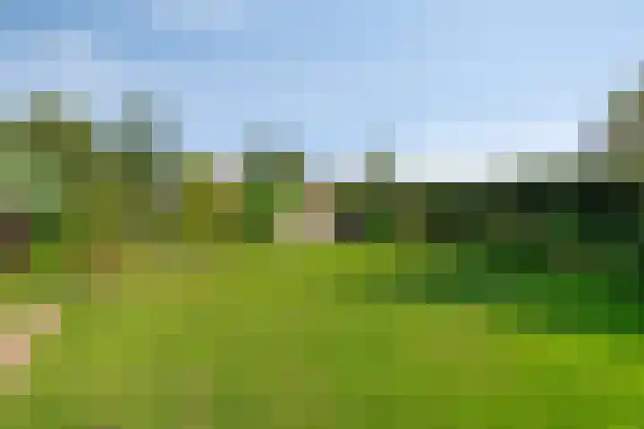 Bergstraat 12 Gennep thumbnail 6