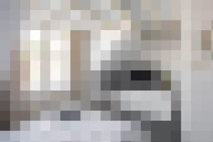 Bergstraat 14 Groningen thumbnail 31