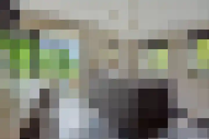 Bergstraat 15 Geffen thumbnail 13