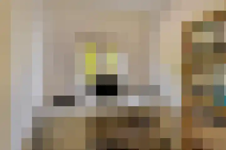 Bergstraat 15 Geffen thumbnail 22