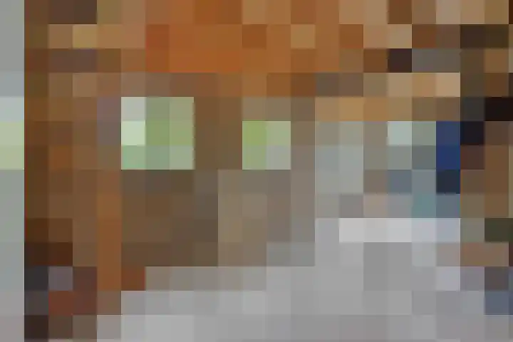 Bergstraat 15 Geffen thumbnail 39