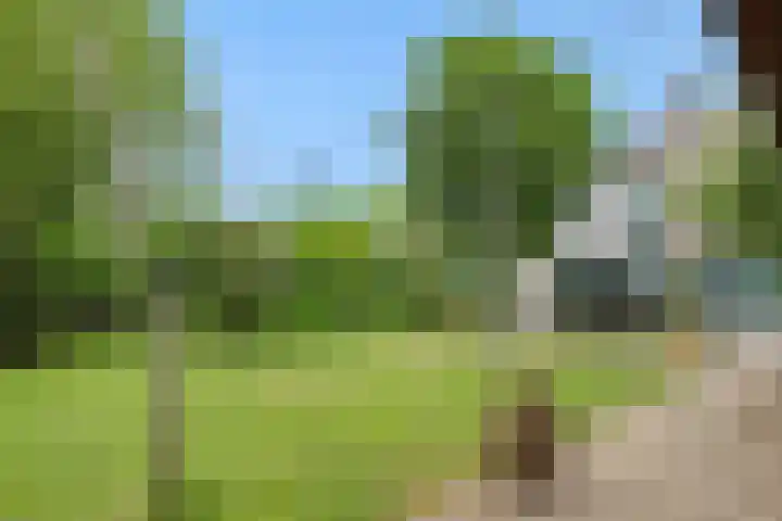Bergstraat 15 Geffen thumbnail 41