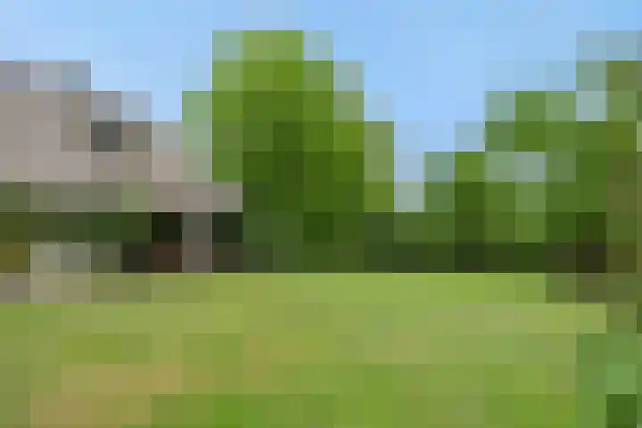 Bergstraat 15 Geffen thumbnail 42