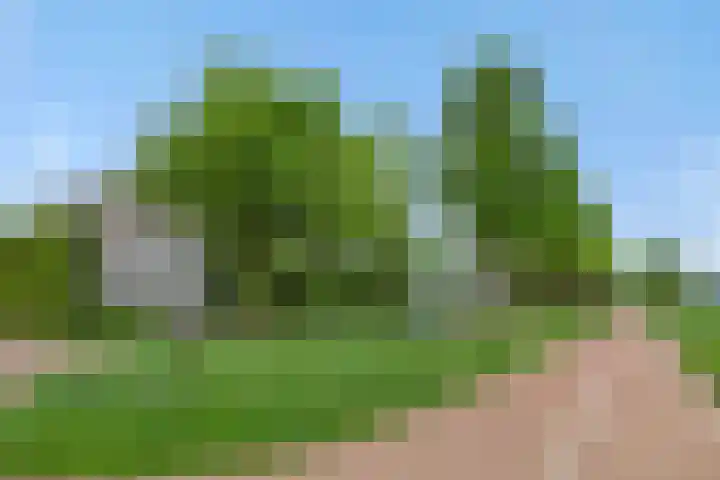 Bergstraat 15 Geffen thumbnail 51