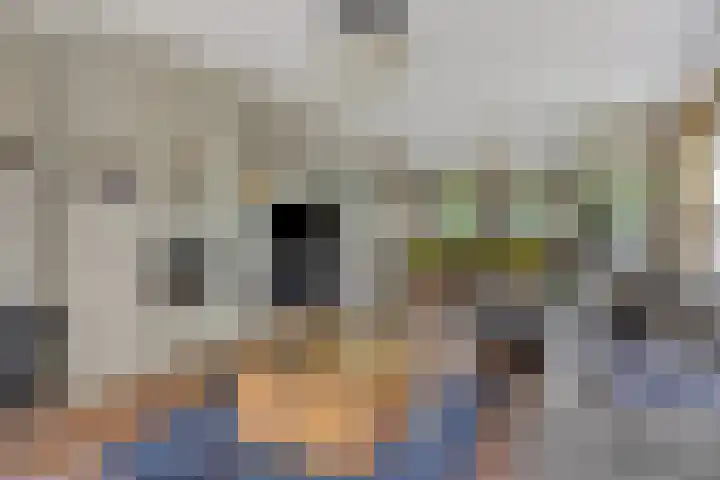 Bergstraat 15 Geffen thumbnail 7