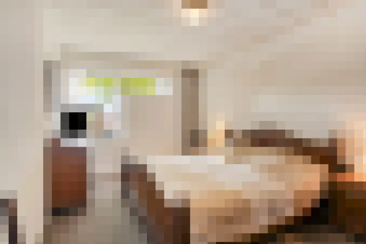Bergstraat 15 Goirle thumbnail 20