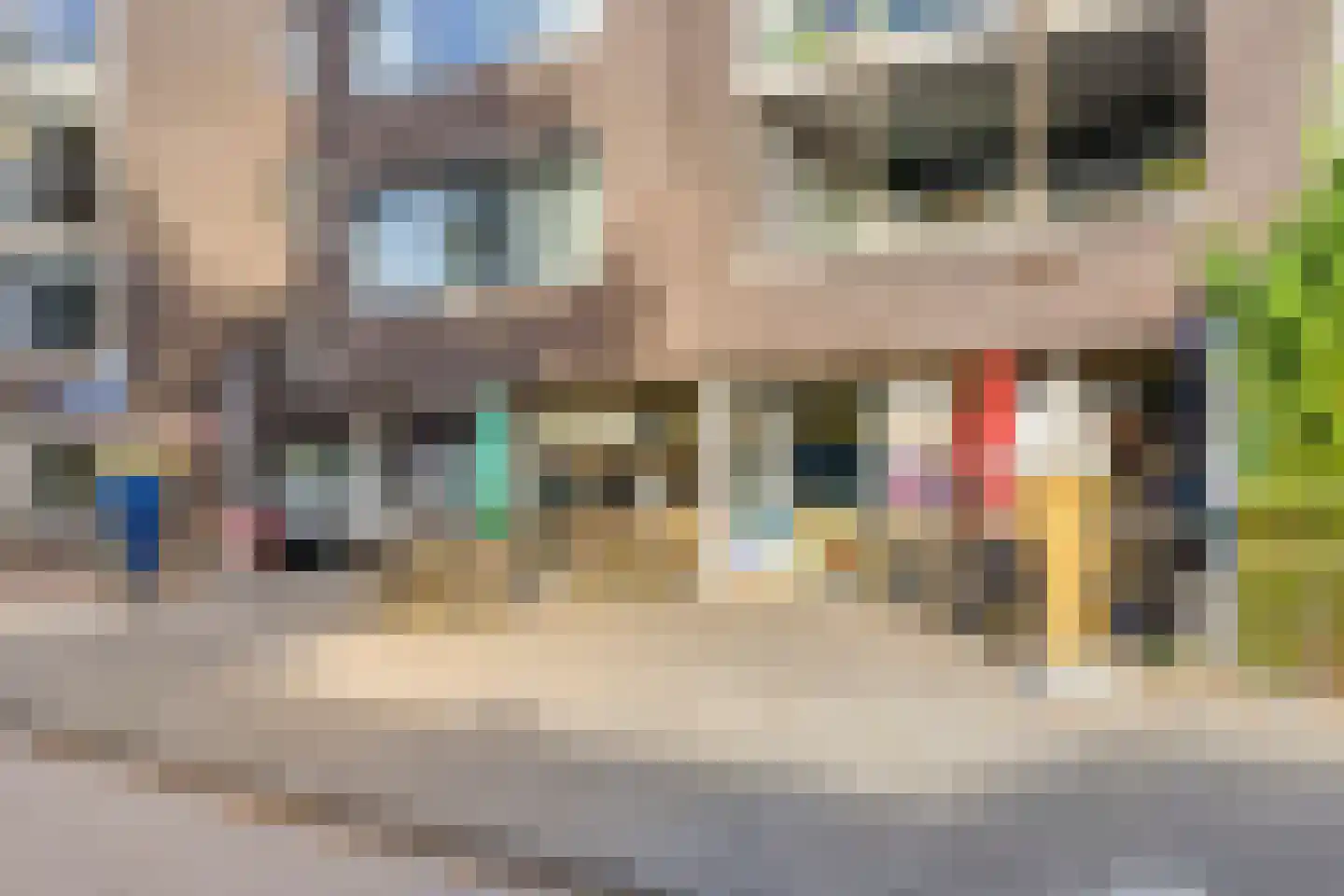 Bergstraat 15 Goirle thumbnail 41