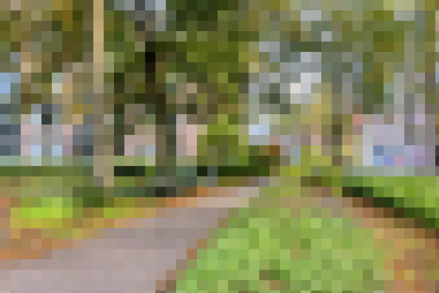Bergstraat 15 Goirle thumbnail 43