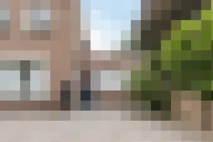 Bergstraat 15 Zegge thumbnail 13