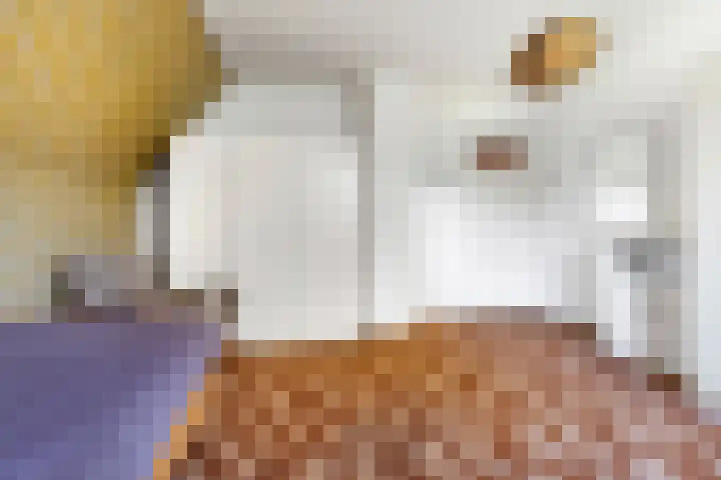 Bergstraat 2 Lent thumbnail 20