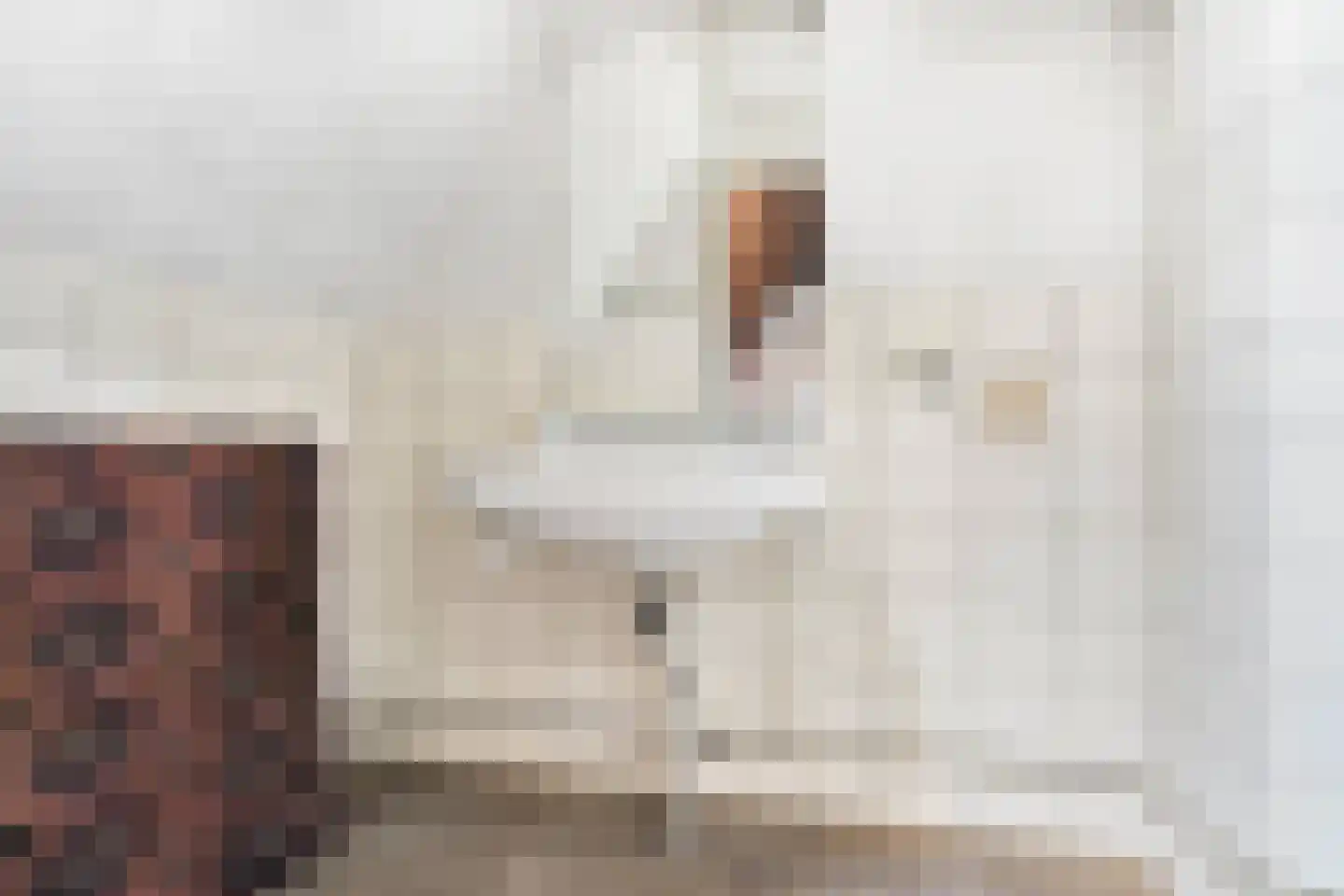 Bergstraat 2 Lent thumbnail 21