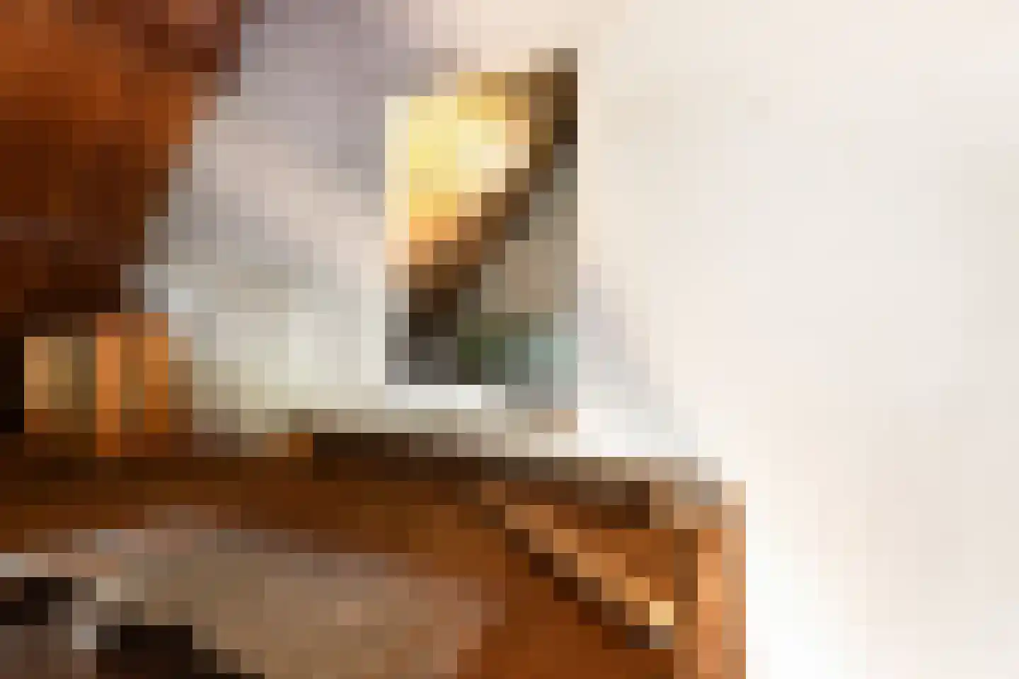 Bergstraat 2 Lent thumbnail 24