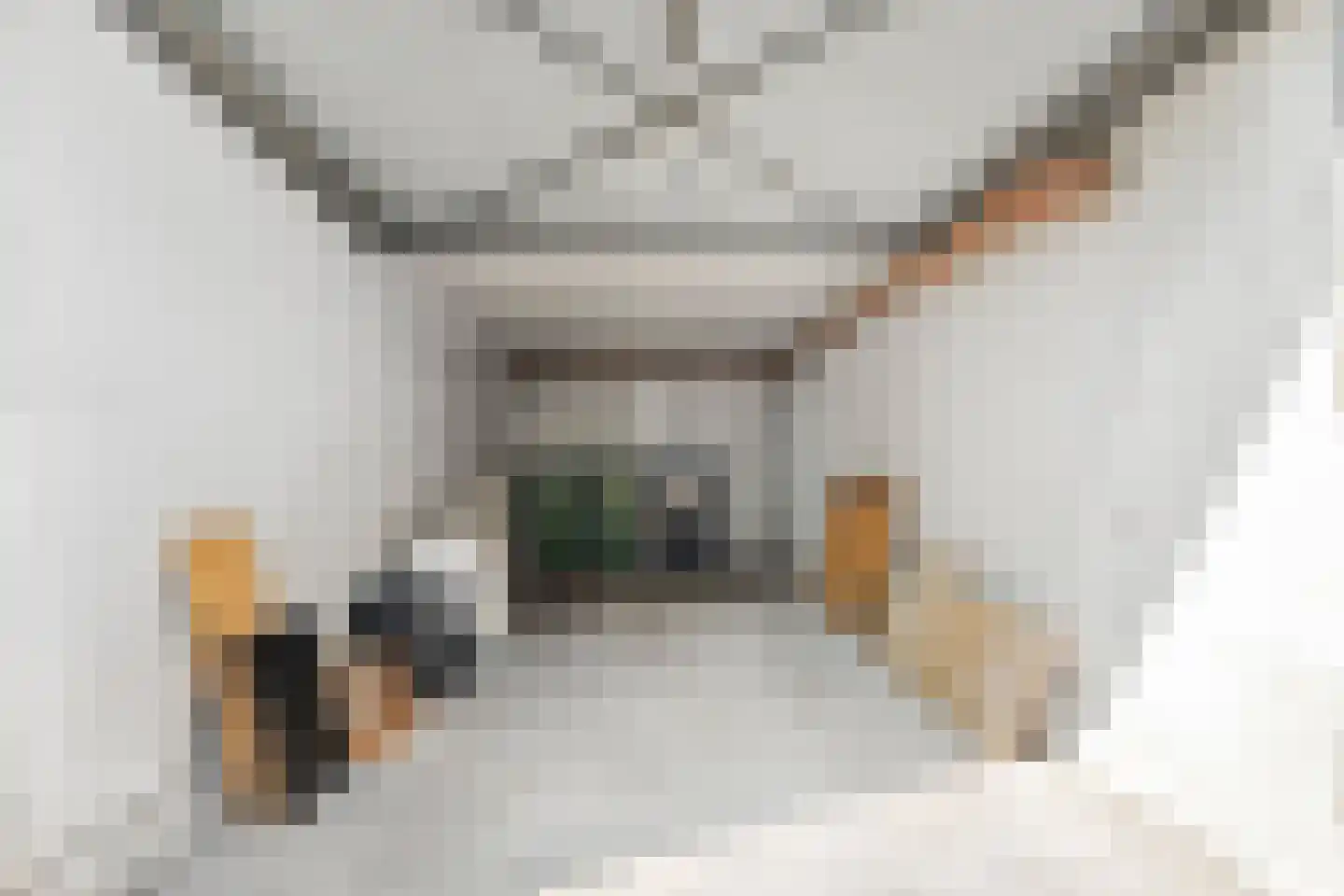 Bergstraat 2 Lent thumbnail 26
