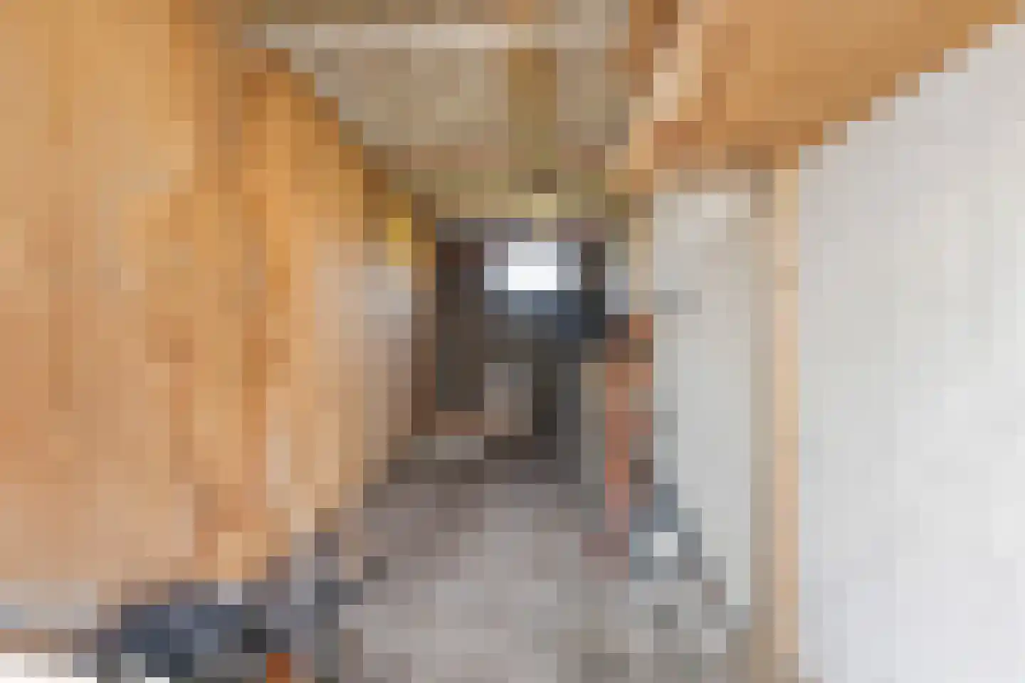 Bergstraat 2 Lent thumbnail 29