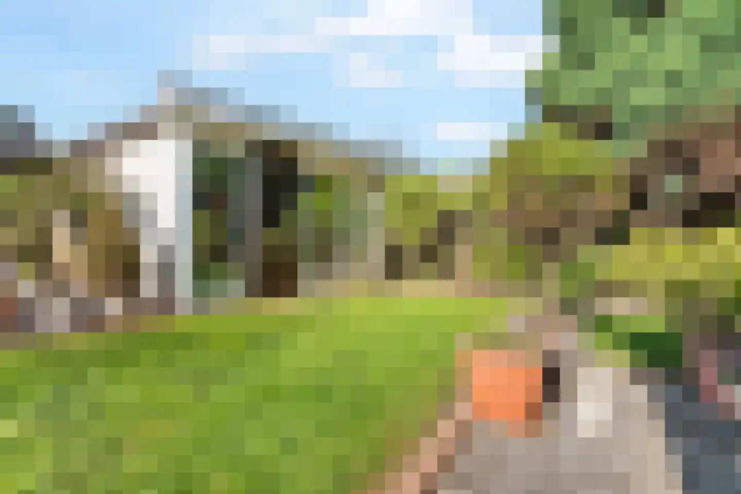 Bergstraat 2 Lent thumbnail 34