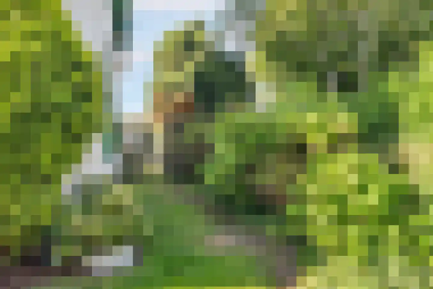 Bergstraat 2 Lent thumbnail 35