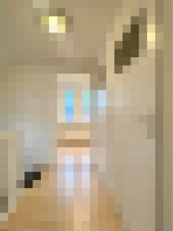 Bergstraat 2 Montfoort thumbnail 32