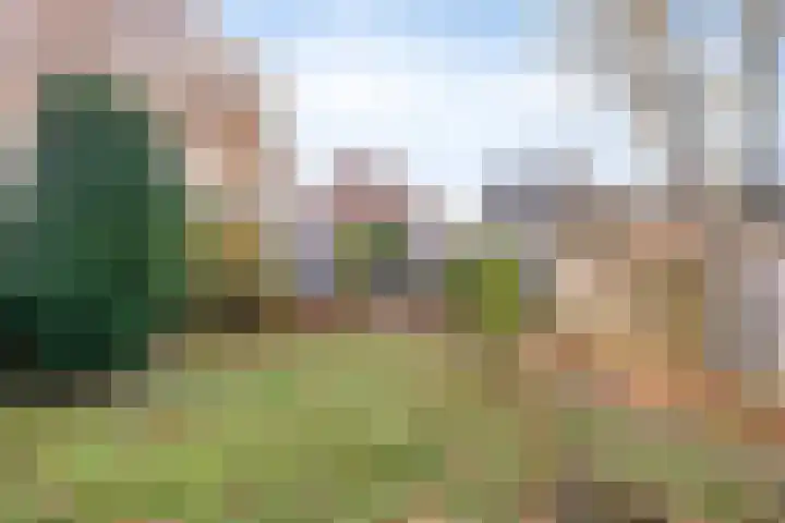 Bergstraat 20 Waalre thumbnail 36