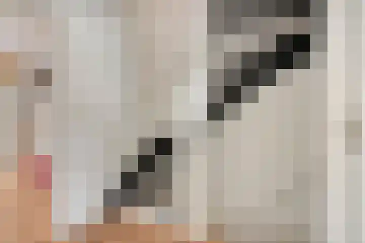 Bergstraat 21 Goirle thumbnail 23