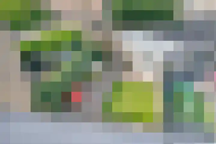 Bergstraat 21 Goirle thumbnail 38
