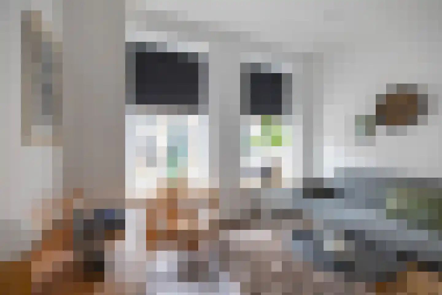 Bergstraat 21 Groningen thumbnail 10