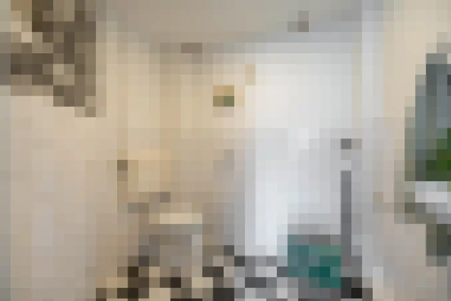 Bergstraat 21 Groningen thumbnail 6