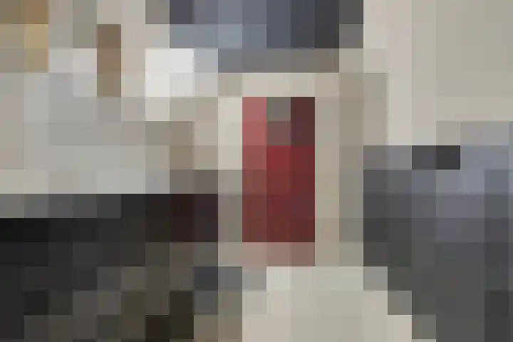 Bergstraat 21 Neede thumbnail 20