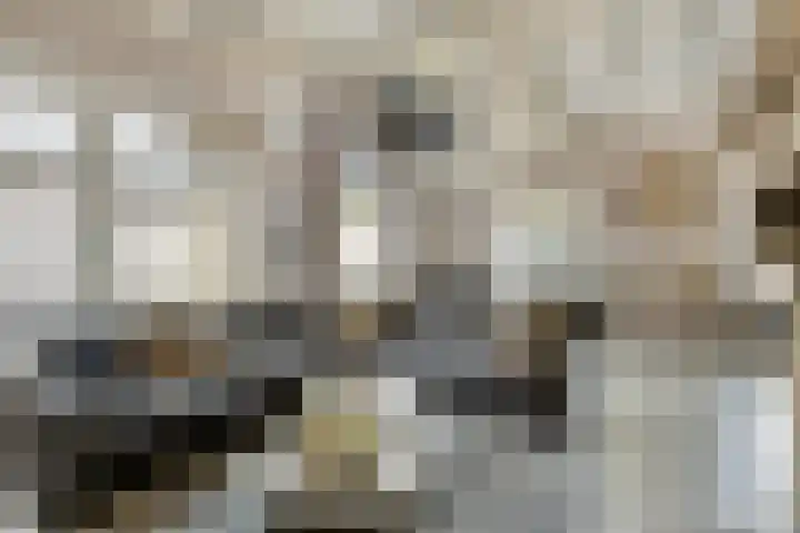Bergstraat 21 Neede thumbnail 4