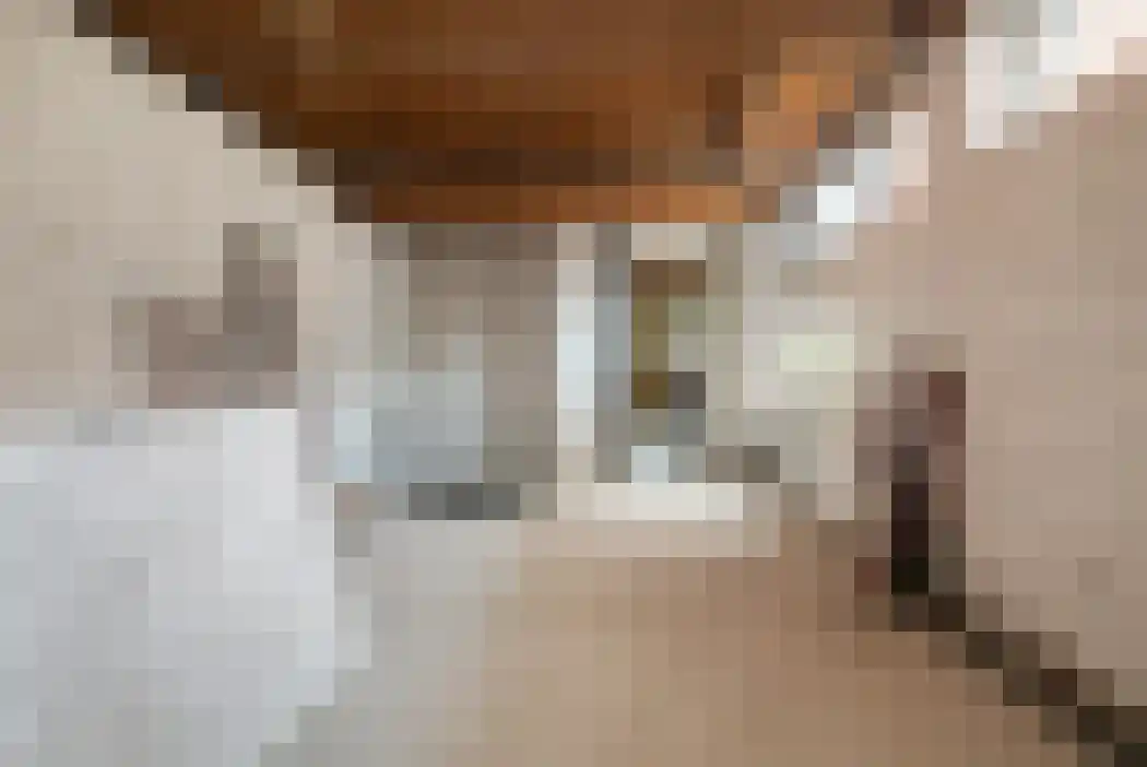 Bergstraat 23 Valkenswaard thumbnail 18