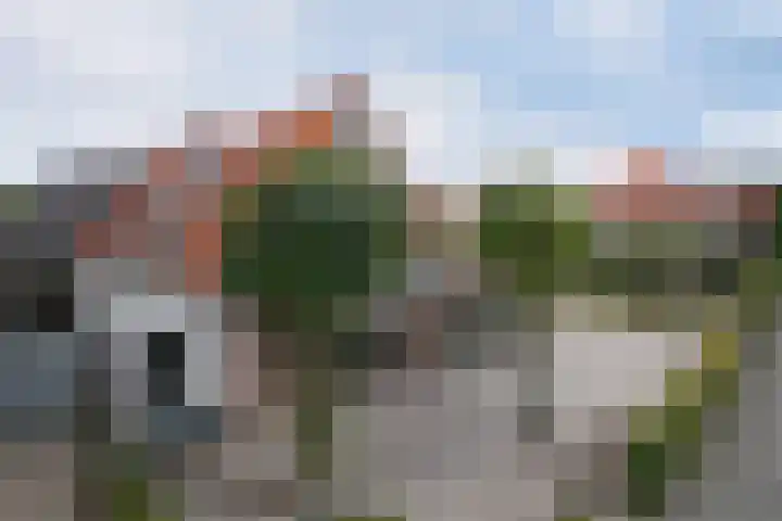 Bergstraat 23 Valkenswaard thumbnail 6