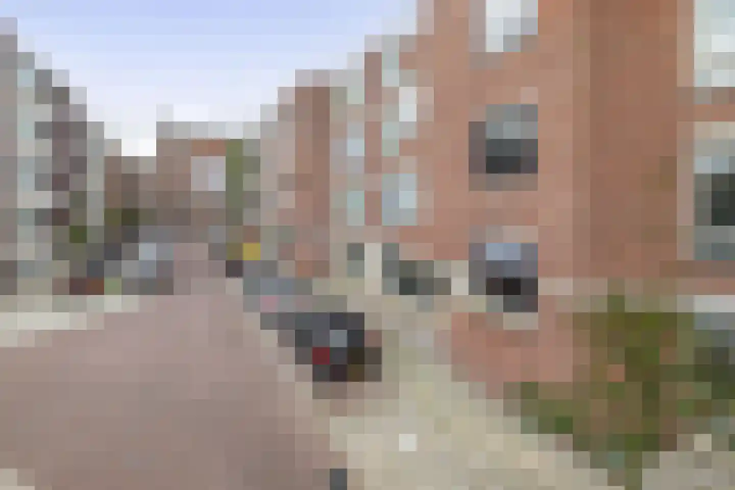 Bergstraat 26 A Rotterdam thumbnail 19