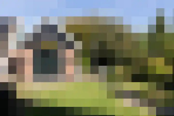 Bergstraat 26 Neede thumbnail 31