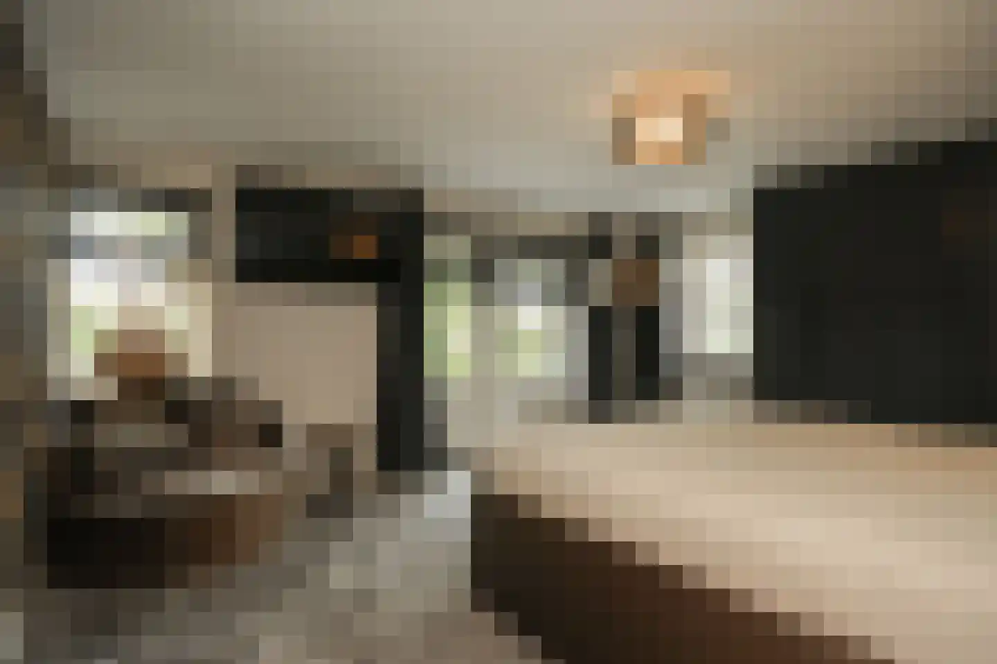 Bergstraat 26 Wijk en Aalburg thumbnail 19
