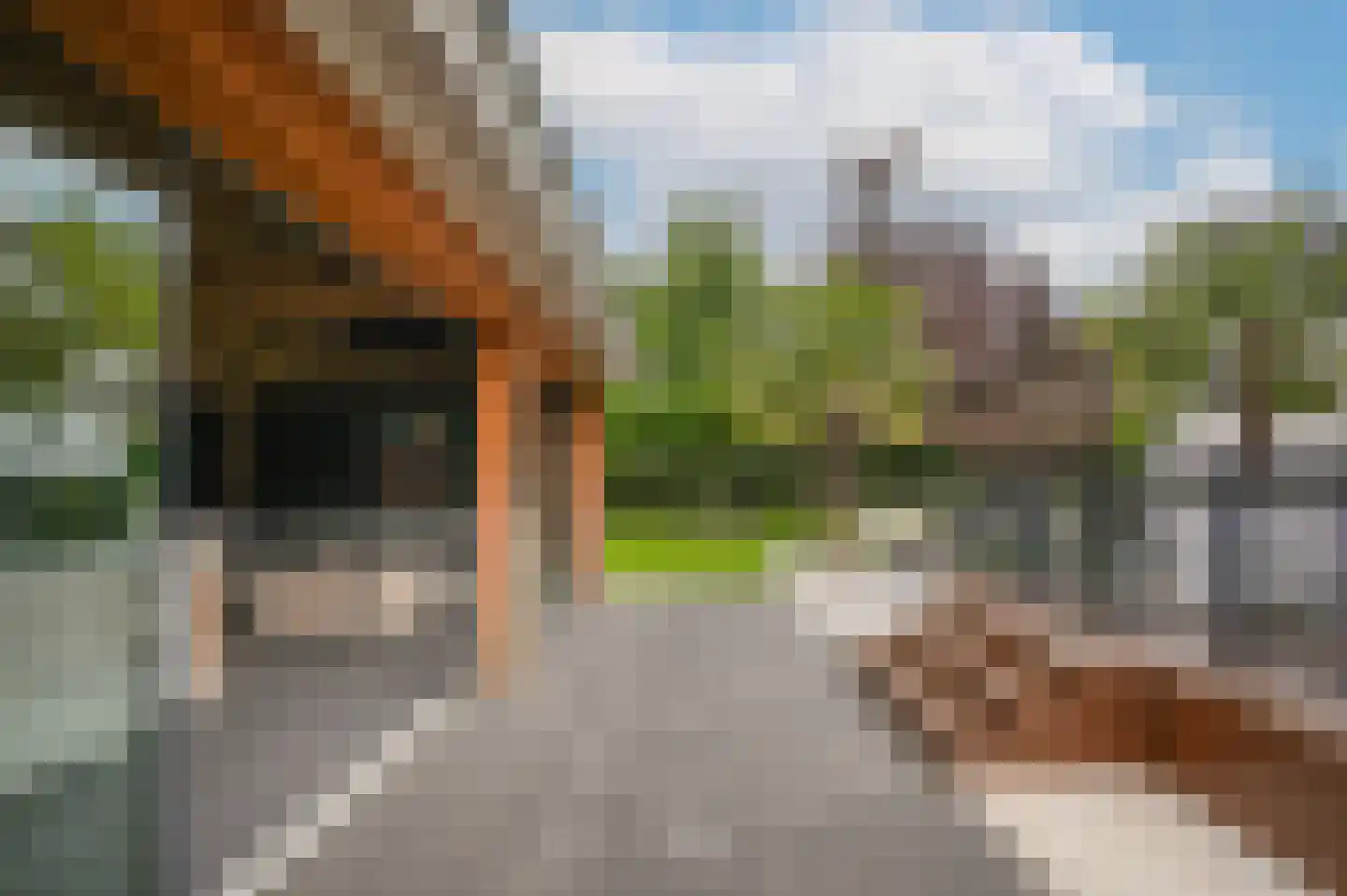 Bergstraat 26 Wijk en Aalburg thumbnail 49