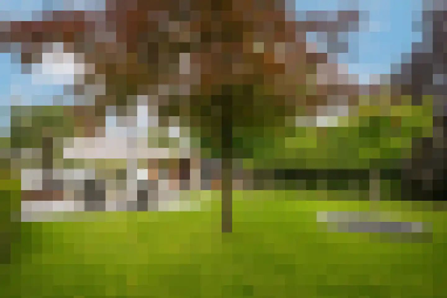 Bergstraat 26 Wijk en Aalburg thumbnail 54
