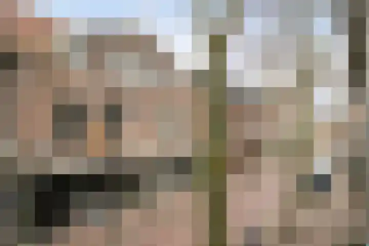 Bergstraat 30 Eindhoven thumbnail 30