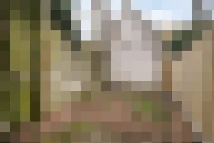 Bergstraat 30 Eindhoven thumbnail 32